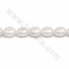 Perles Nacrée Galvanoplastie blanche rond plat sur fil Taille 10x20mm trou 1.5mm 15~16"/fil