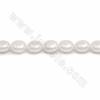Fili di perle di conchiglia naturale placcate, moneta, bianco, dimensioni circa 10x15 mm, foro circa 1 mm, 15~16"/filiale