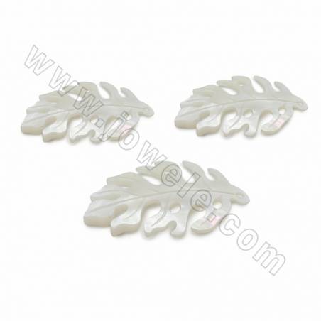 Pendentifs en coquillage blanc naturel, coquillage creux, feuilles, taille 34x24mm, épaisseur 1mm, trou 0.6mm, 4pcs/pack