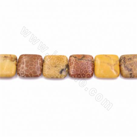 Natural Chrysanthemum Stone/Coral Fossils Beads Strand  Square Size 25x25mm Thickness 7mm Hole 1.2mm 15~16"/Strand