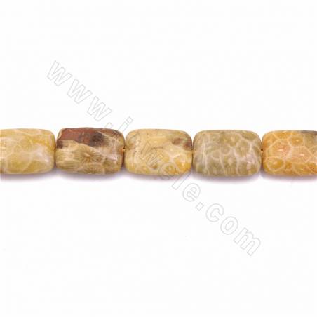 Chrysanthemum Stone/Coral Fossils Rectangle 13x18mm Hole1.2mm 39-40cm/Strand