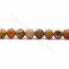 Rouleaux de perles en pierre naturelle de chrysanthème et de fossiles coralliens, rondes, diamètre 6 mm, trou 1 mm, 15~16"/ruban