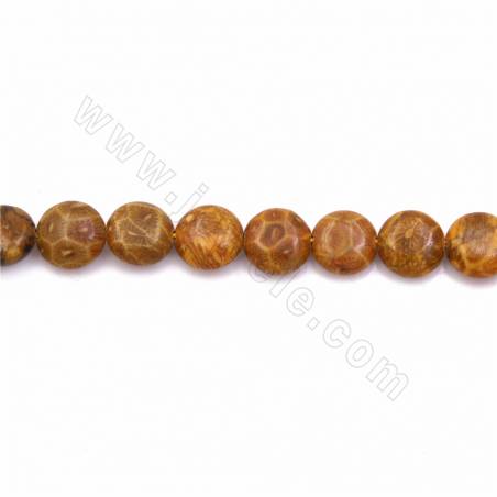 Rouleaux de perles en pierre naturelle de chrysanthème et de fossiles coralliens, rondes et plates, diamètre 10mm,15~16"/rangée