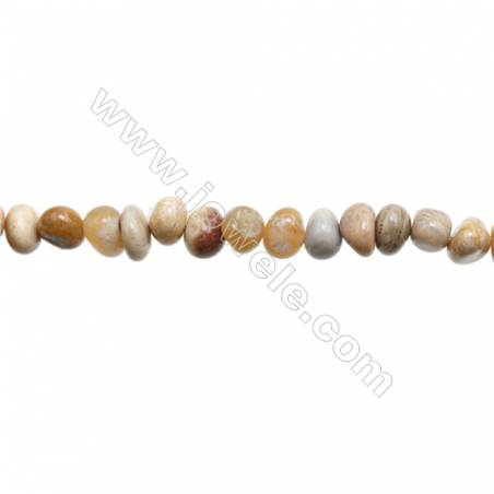 Perles Corail fos-sile en forme irrégulière sur fil Taille 8~9mm x9~11mm trou 1mm x1fil 15~16"