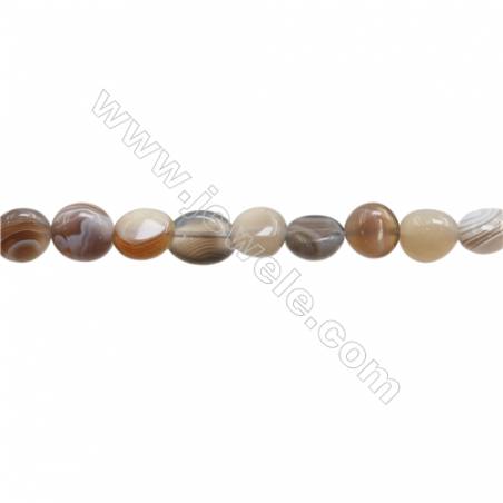 Perles Agate de Botswanna en forme irrégulière sur fil Taille 5~6mm x10~13mm trou 1mm x1fil 15~16"
