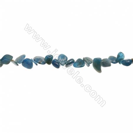 Perles Apatite en forme irrégulière sur fil Taille 2~3mm x8~14mm trou 1mm x1fil 15~16"