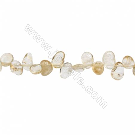 Citrine Perlenkette  ca. 4~7 x 8~16mm  Durchmesser des Loch ca. 1mm x 1 Strang 15~16"