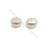 Fresh Water AAA Grade Half-Drilled Pearl Beads  Flat Back   Diameter 7.5mm  Thick 7mm  Hole 0.8mm  96 pcs/card