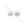 Fresh Water AAA Grade Half-Drilled Pearl Beads  Flat Back   Diameter 9mm  Thick 8.5mm  Hole 1mm  60pcs/card