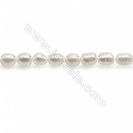 Perles de culture naturelles  perles d'eau douce ovale  blanche sur fil  4~5mm  trou 0.6mm x1 fil 15~16"