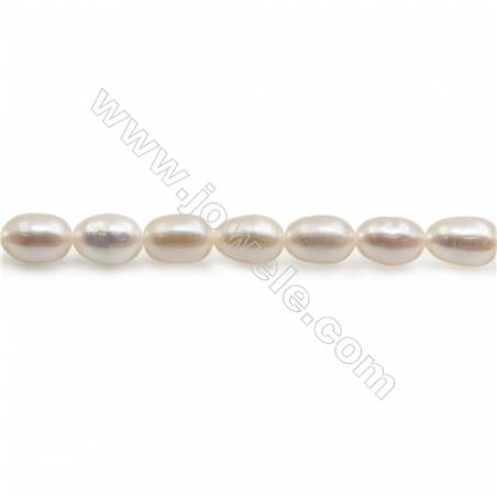 Perles de culture naturelles  perles d'eau douce ovale  blanche rose ou violette sur fil  5~6mm  trou 0.7mm x1 fil 15~16"