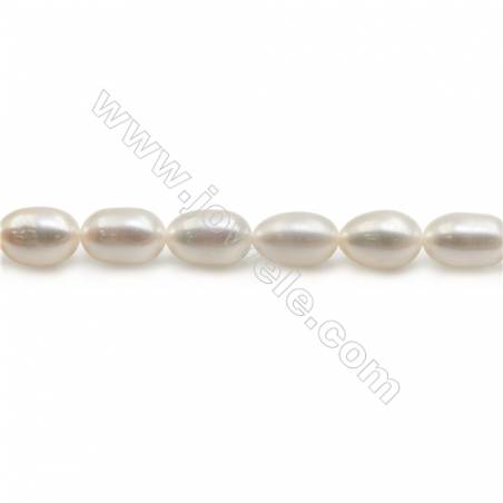 Natural Fresh Water Pearl Beads Strand  Oval  Size 6~7mm  Hole 0.8mm  15~16" x 1strand