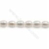 Perles de culture naturelles  perles d'eau douce ovale  blanche sur fil  7~8mm  trou 0.8mm x1 fil 15~16"
