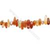 Natural Carnelian Chips Strand  Size4~6x11~16mm  Hole: 1mm  15~16" x 1strand