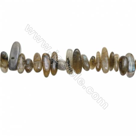 Natural Labradorite Beads Strand  Irregular Rectangle  4~6mm x 10~22mm  hole 1mm  15~16" x 1strand