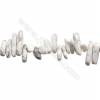 Natural Howlite Beads Strand  Chips  Size 4~6x8~23mm  hole 1mm  15~16" x 1strand