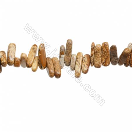 Perles Image de Jaspe en forme de chips sur fil Taille 4~5mm x10~20mm trou 1mm x1fil 15~16"