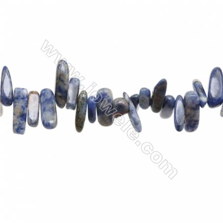 Perles Sodalite en forme de chips sur fil Taille 6~9mm x7~23mm trou 1mm x1fil 15~16"