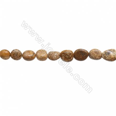 Natural Picture Jasper Beads Strand  Irregular  Size 8~9x8~12mm  hole 1mm  15~16" x 1strand