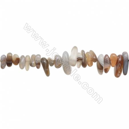 Perles Agate du Botswana en forme irrégulière sur fil Taille 4~6mm x9~19mm trou 1mm x1fil 15~16"