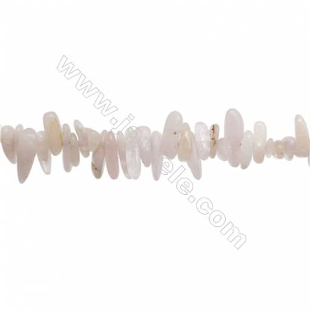 Perles Morganite en forme irrégulière sur fil Taille 3~5mm x10~19mm trou 1mm x1fil 15~16"