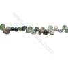 Natural Moss Agate Beads Strand, Irregular Oval, Size 5~9mm x6~10mm, Hole 1mm, 15~16"/strand