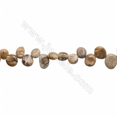 Perles Image de Jaspe en forme irrégulière sur fil Taille 8~11mm x9~13mm trou 1mm x1fil 15~16"