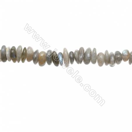 Perles Labradorite en forme irrégulière sur fil Taille 3~4mm x8~12mm trou 1mm x1fil 15~16"
