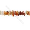 Perles Cornaline en forme irrégulière sur fil Taille 2~4mm x8~13mm trou 1mm x1fil 15~16"