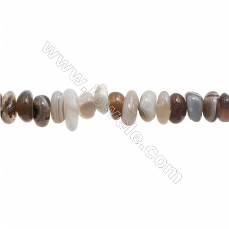 Perles Agate du Botswanna en forme irrégulière sur fil Taille 3~4mm x9~11mm trou 1mm x1fil 15~16"