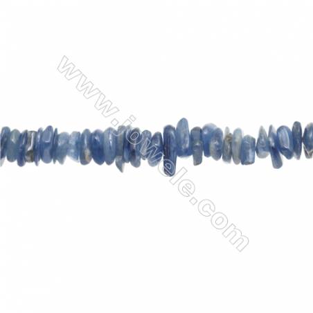 Perles Kyanite en forme irrégulière sur fil Taille 1~3mm x8~15mm trou 1mm x1fil 15~16"