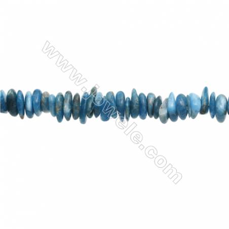 Natural Apatite Chips Strand  About 1~4 x9~14mm  hole 1mm 15~16" x 1strand