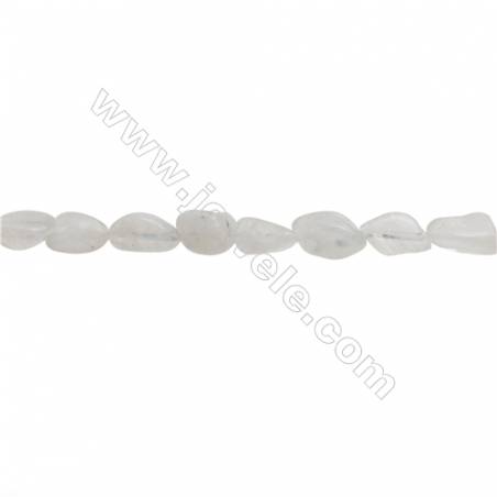 Natural Moonstone Chips Strand  Size 6~7x9~10mm  hole 1mm  15~16" x 1 Strand
