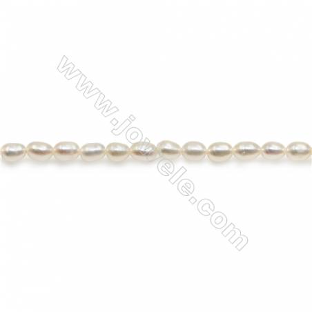 Perles de culture naturelles  perles d'eau douce ovale  blanche sur fil   3~3.5x3.5~4.5mm  trou 0.6mm x1 fil 15~16"
