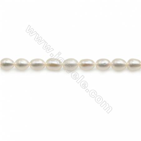 白色天然淡水珍珠蛋形串珠 尺寸 4.5~5x5.5~6毫米 孔徑 約0.6毫米 x1條 15~16"
