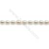 Fresh Water White Pearl Beads Strand  Oval  Size 4.5~5x5.5~6mm  Hole 0.6mm  15~16" x 1strand