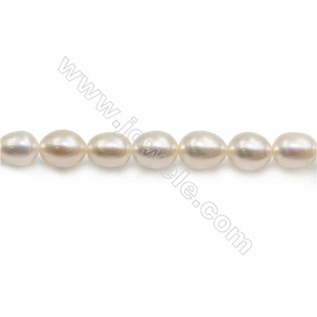Perles de culture naturelles  perles d'eau douce ovale  blanche sur fil  8~9mm  trou 0.8mm x1 fil 15~16"