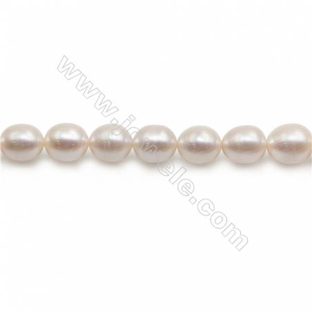 Fresh Water White Pearl Beads Strand  Oval  Size 10~11mm  Hole 0.8mm  15~16" x 1strand
