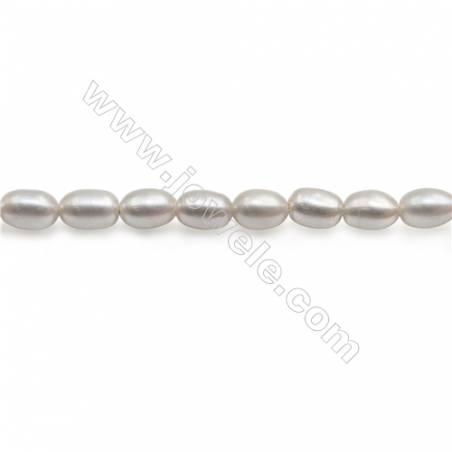 銀色天然淡水珍珠蛋形串珠 尺寸 4.5~5x6.5~7毫米 孔徑 約0.8毫米 x1條 15~16"