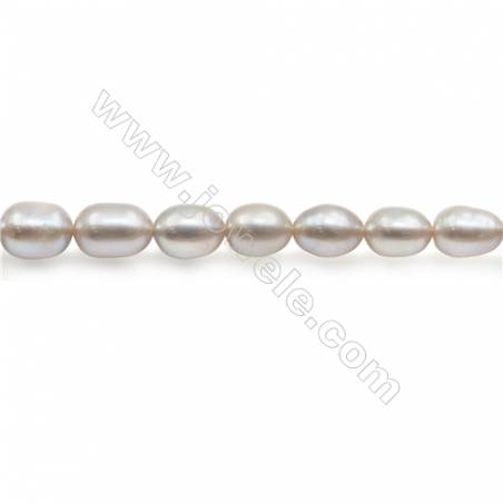 Perles de culture naturelles  perles d'eau douce ovale  argent sur fil  5~6x6.5~7mm  trou 0.8mm x1 fil 15~16"