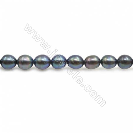 Perles de culture naturelles  perles d'eau douce ovale  noire sur fil  6.5~7x7.5~8mm  trou 0.8mm x1 fil 15~16"