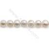 Fresh Water White Pearl Beads Strand  Round  Size 8~9mm  Hole 1mm  15~16" x 1strand