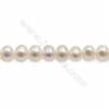 Fresh Water Pearl Beads Strand  Oval  Size 5.5~6x6~6.5mm  Hole 0.8mm  15~16" x 1strand