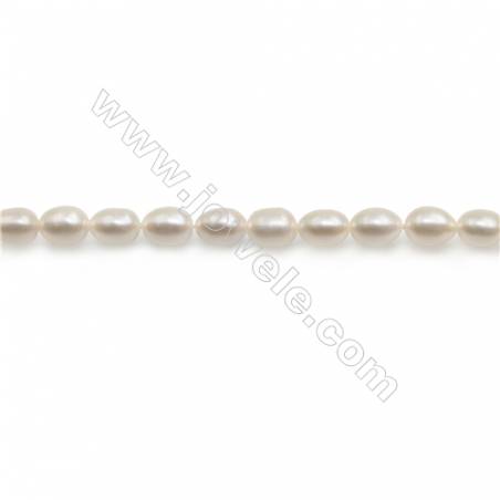 Perles de culture naturelles  perles d'eau douce ovale  blanche sur fil  3.5~4x4.5~5mm  trou 0.6mm x1 fil 15~16"