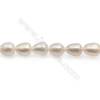 Perles de culture naturelles  perles d'eau douce ovale  blanche sur fil  8~9x10~11mm  trou 0.8mm x1 fil 15~16"