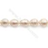 Fresh Water White Pearl Beads Strand  Oval  Size 9~10x11~13mm  Hole 0.8mm  15~16" x 1strand