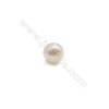 天然白色淡水珍珠半孔圓珠  直徑 約3.5~4毫米 孔徑 約0.8毫米 20個/包