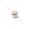 天然白色淡水珍珠半孔圓珠  直徑 約5.5-6毫米 孔徑 約0.8毫米 20個/包