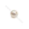 Fresh Water White Pearl Half-Drilled Beads  Diameter 6~6.5mm  Hole 0.8mm  20 pcs/pack