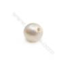 Nartürliche weiße runde halbe gebohrte Perlen  Durchmesser 6.5~7mm  Durchmesser des Loch 0.8mm  2 Stck / Packung